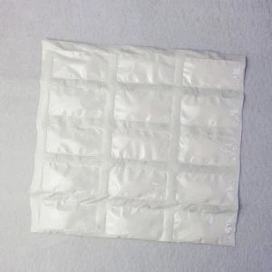 Tyvek Sachet Desiccant Suplier 20 ปี